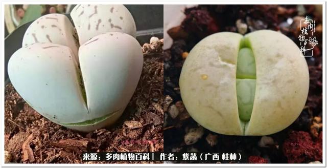 大型制砂机给力富贵机械