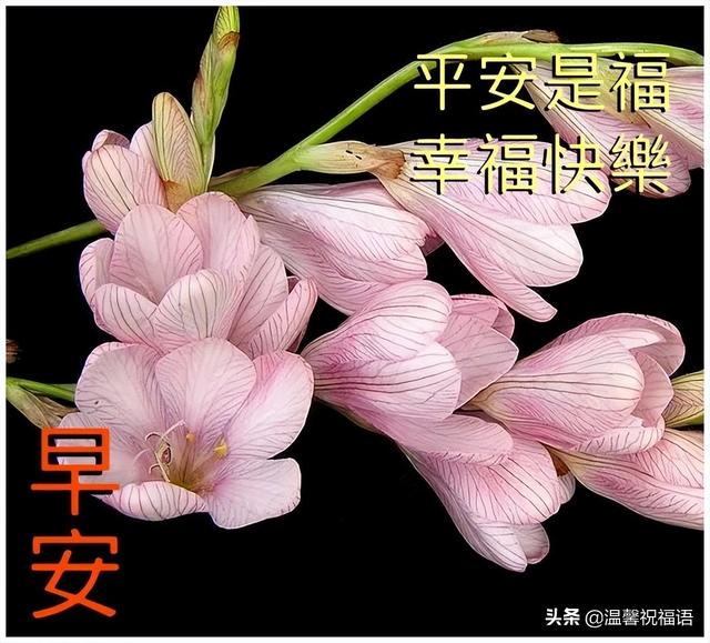 4月30日早上好最新问候语大全祝老友高兴快乐 安然幸福 祝福语 词句大全网