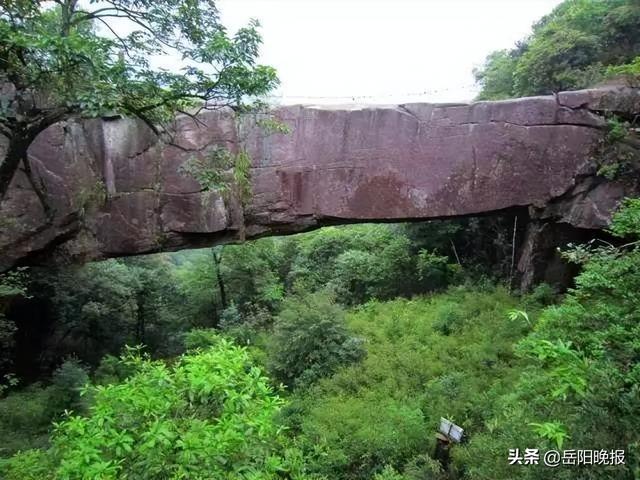 文章图片1