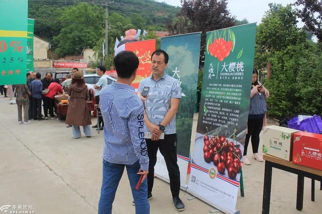 农业品牌营销顶层设计案例——陕西某镇农业公共品牌策划案