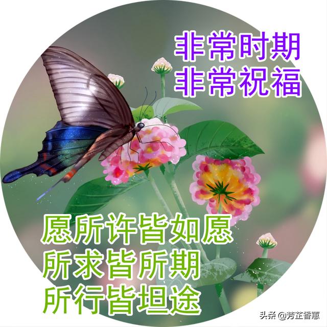 愿苍天保佑，人间无险，病毒早散，你我平安