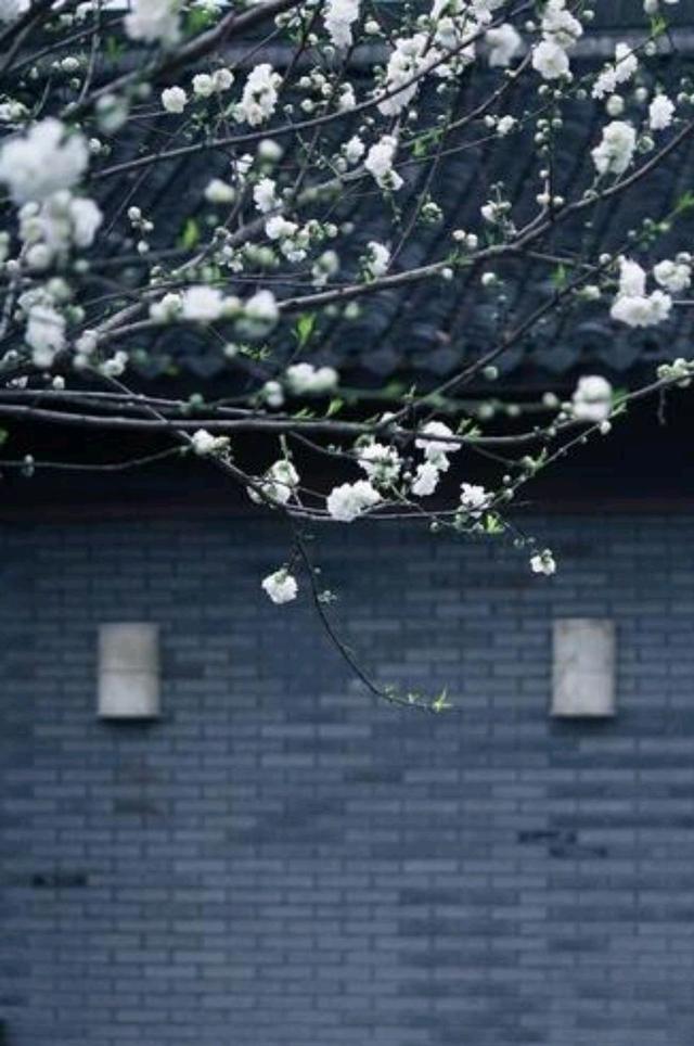 散文：愿有时光可回首，且以清欢度流年
