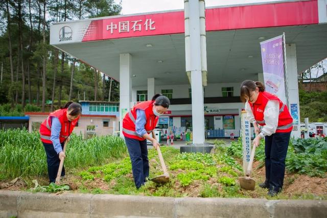 今日春分，带你体验石化版“向往的生活”