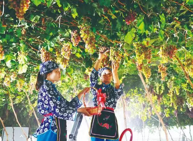 全运惠民工程成果展