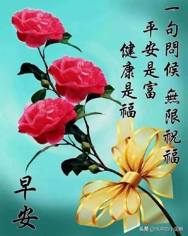 最经典早安语录句子2022，分享早安励志语录合集