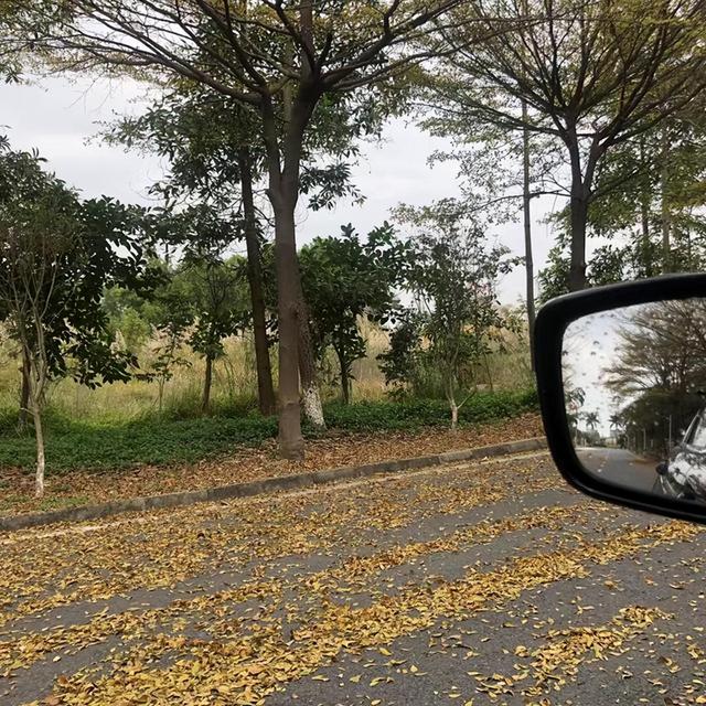 杨绛：人生下半场，阅己，越己，悦己