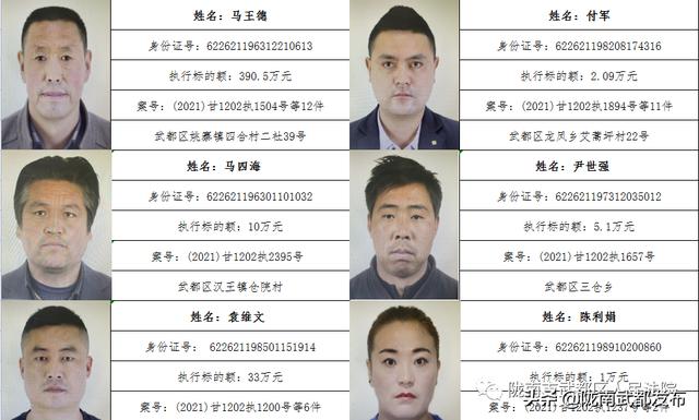 曝光! 武都区法院公布2022年第一批失信被执行人名单（172人）