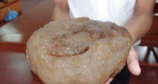 违背生命规律的生物有哪些？你知道跳出三界外的“太岁”吗？
