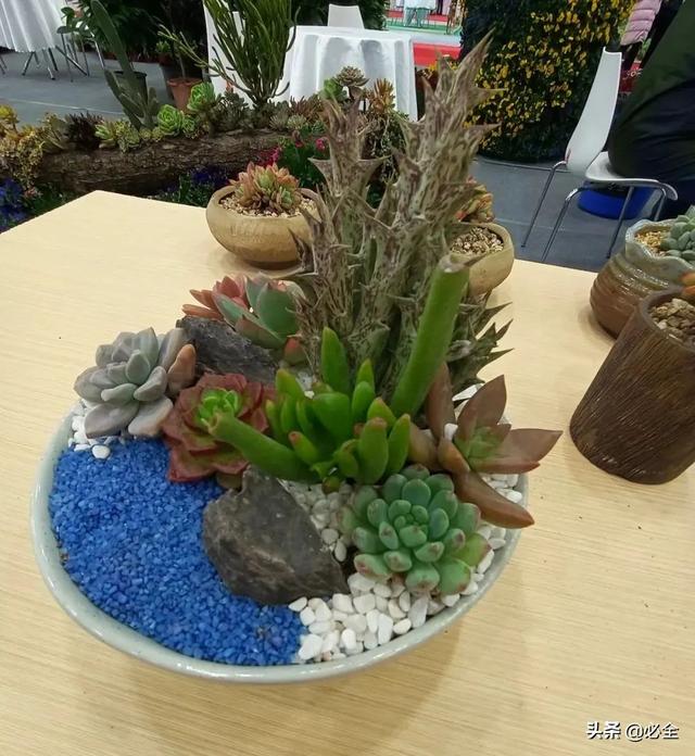 2021长沙国际工程机械表演展