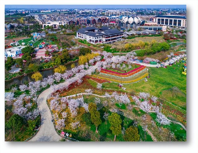 公司團建策劃模板