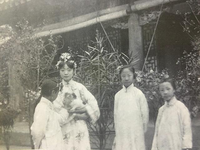 大清灭亡后，溥仪把格格们都嫁给了谁？这些明星祖上都是满清贵族