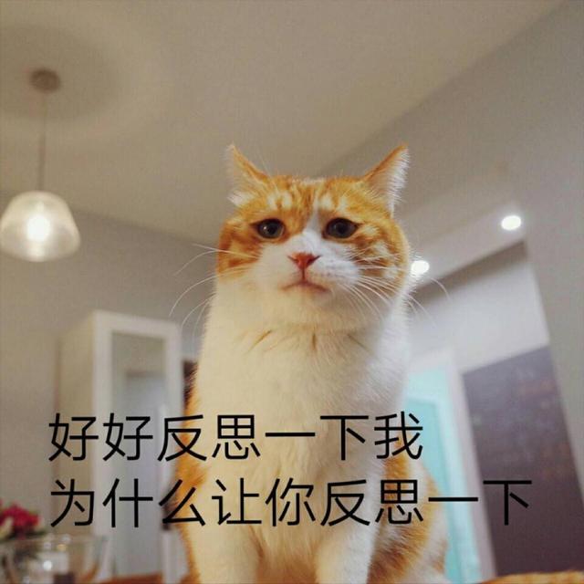 全剧组苦等、拍戏用替身、片场大吵大闹，明星到底能有多不敬业？