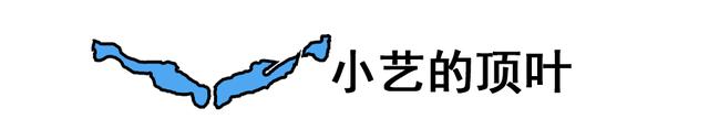 华为手机的语音助手叫什么唤醒？手机的语音助手在哪里打开