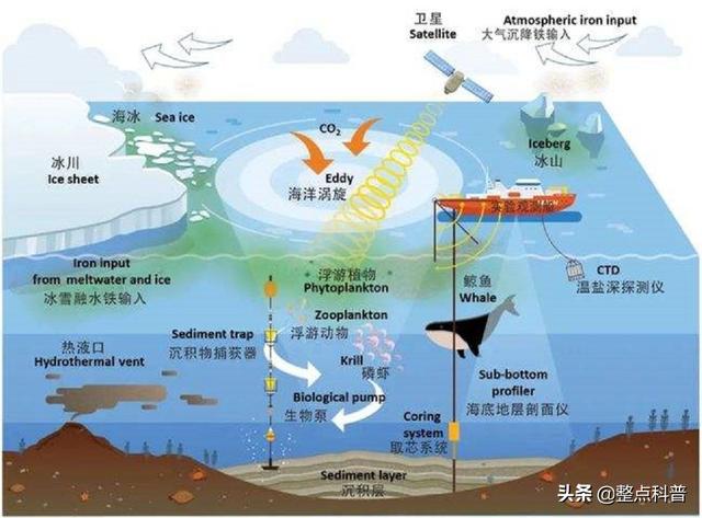 地球要大降温？南大洋正在疯狂吸碳，年吸碳量约比释放多5.3亿吨