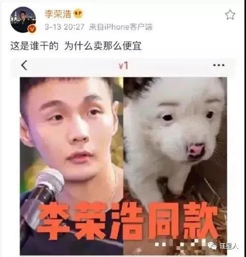 长得像林永健的狗