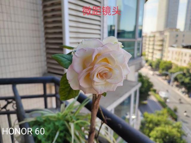 OPPOReno7与荣耀60综合比较