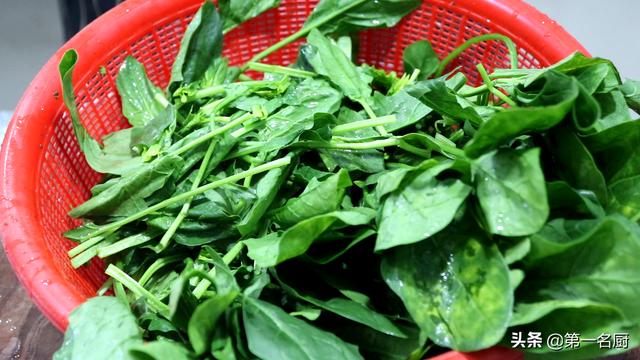 这6种“千金菜”，天然叶酸高！中老年人无论贫富，春天要多吃