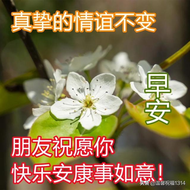 早上好圖片最美溫馨最新早安祝福圖片大全圖片可愛吉祥如意