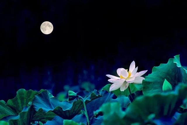 散文诗一首三水大佛