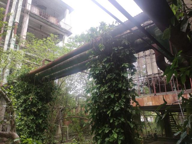 百色移动煤炭破碎机供应
