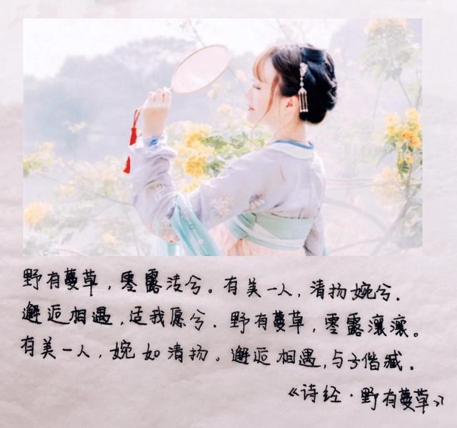 靠抄书逆袭的宝妈情不知所起一往而深 新闻时间