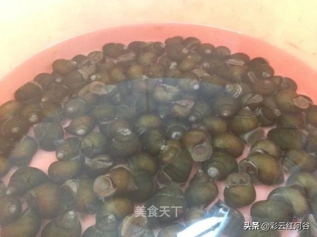 清明时节吃什么？健康一身轻