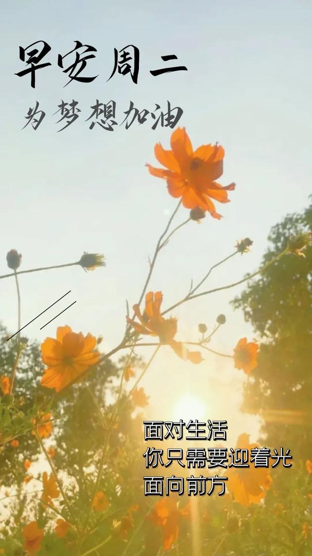 早安正能量唯美短句心语（2022.10.18早安心语正能量精致语录）(32)