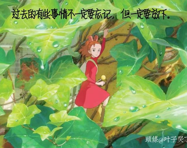 心情不好？那就读宫崎骏的经典语句吧，让你在崩溃中自愈
