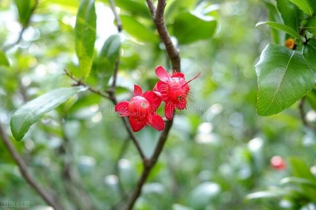 四月十六巳月巳，“月食巳月巳，夏至必风雨”，啥意思？什么预兆