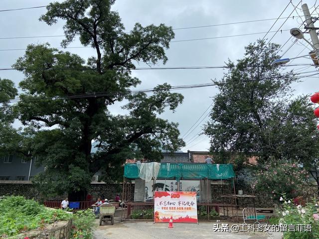 十三陵：大胃婆一個人的春餅宴