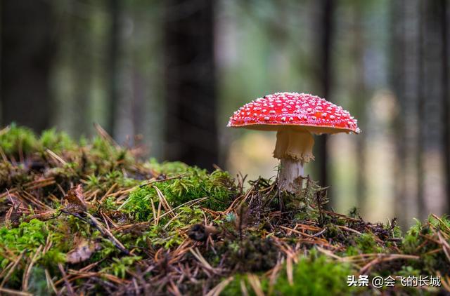 品味经典 寻找智慧，我的人生哲理语录