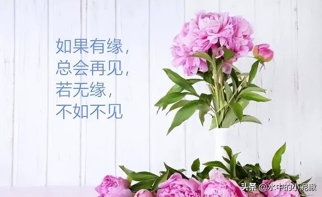 最经典早安语录句子2022，分享早安励志语录合集