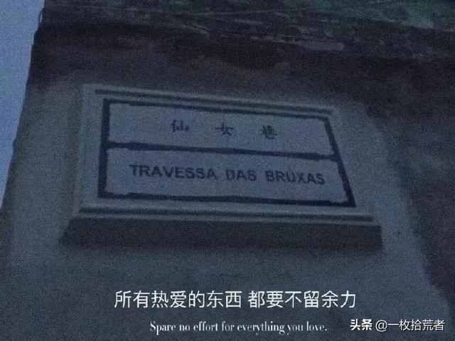网易云热评分享：我从不惧怕黑暗，假如我从未见过光明