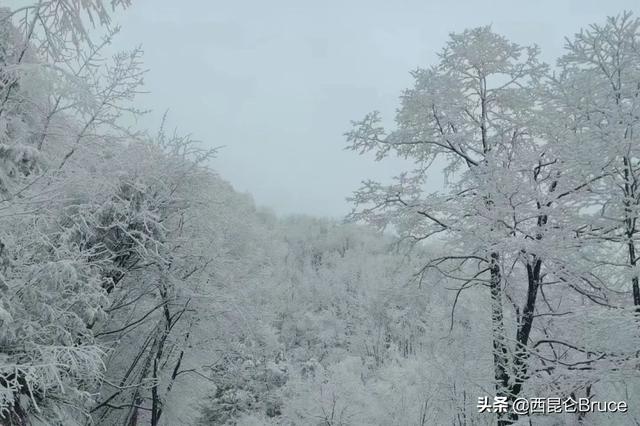 陕西下雪达15cm厚！5月南方温度持续走低，原因是什么？何时回暖