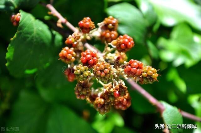 与那种人相交养生、养心、养身（图片来自网络侵来信删除）
