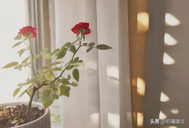 寫作靈感來源--02好句思悟 - 天天要聞