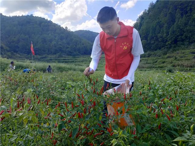 贵阳破碎机市场在什么地方