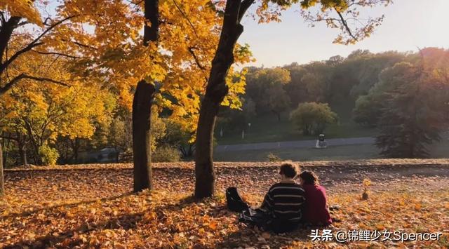 我在布達佩斯，收集了很多秋天送給你