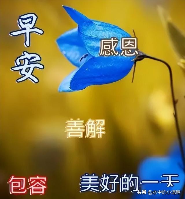 抖音最火的励志早安语录说说 越读越给力