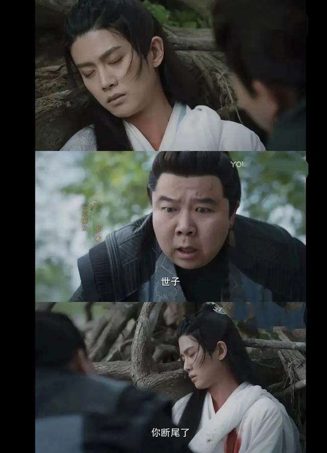 鲛人做主角的剧那么多，大多数却都不好看，是演员的锅吗？