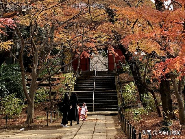 德村志成：落葉殘楓依然美麗，久違北小金本土寺