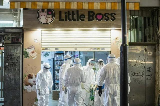 两周后单日新增可能破万？香港何去何从？
