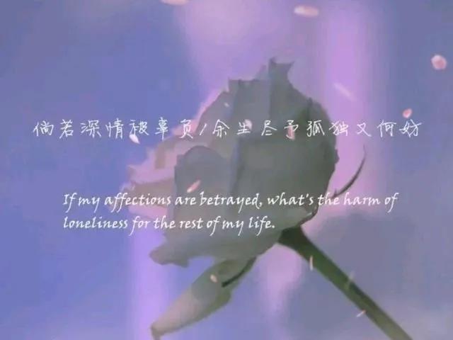 非常经典的伤感文案，看一次，哭一次