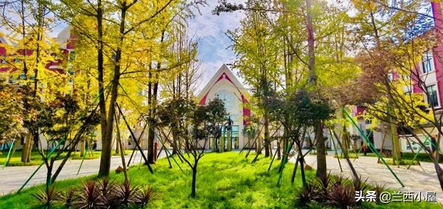 那个青少年学校好(青少年学校哪里好)(图20)