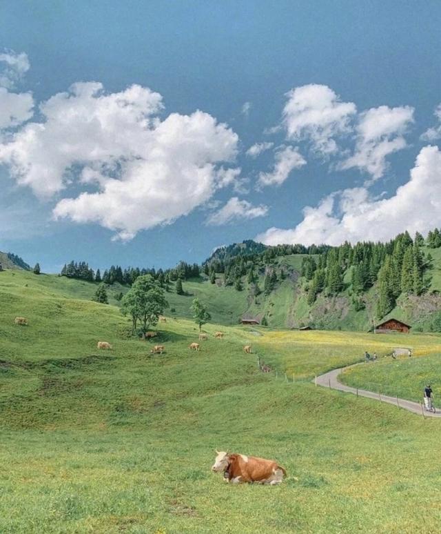 [苹果快乐星球语音群发]，微信怎么上传动态图到朋友圈