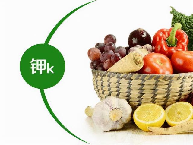 政府模式过滤机