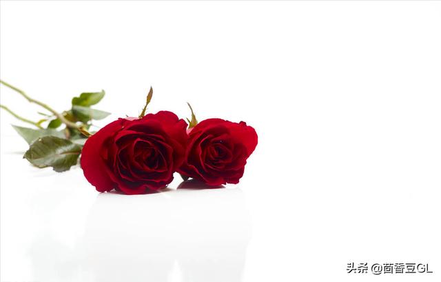 「大神教你」完美关系电视剧免费观看完整版(完美关系完整版电视剧免费观看)