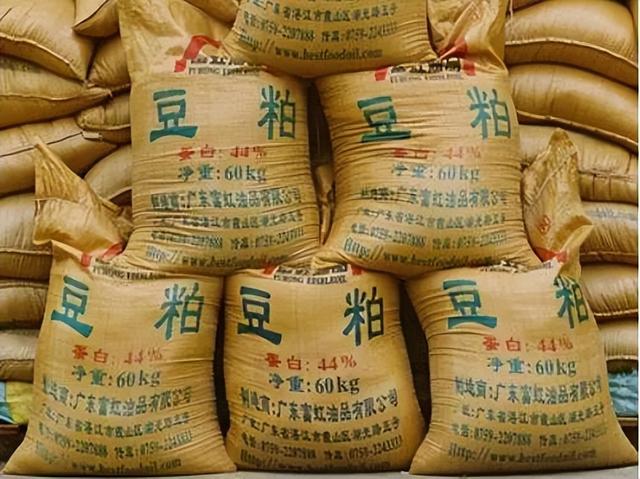 猪饲料比大米还贵，中国人还能“吃肉自由”吗？