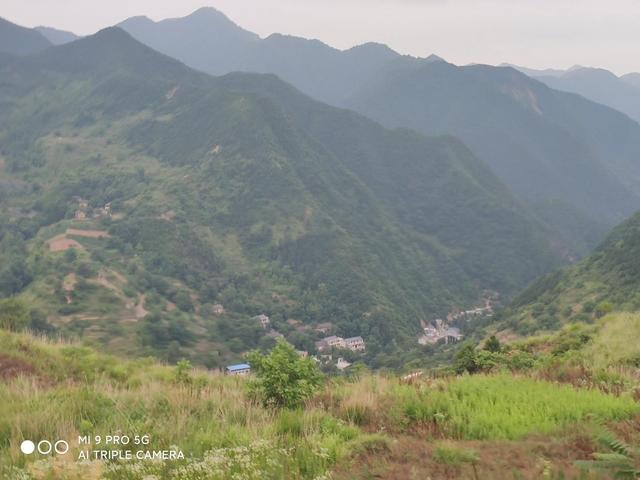 走進秦嶺大山，方悟出生命的源頭恰在山水間