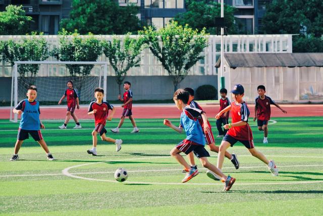 问题孩子教育学校怎么管理(怎么管理好孩子的教育问题)(图8)